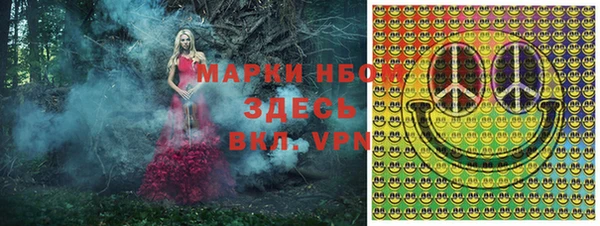 соль ск Алексин