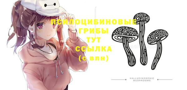 ECSTASY Алексеевка