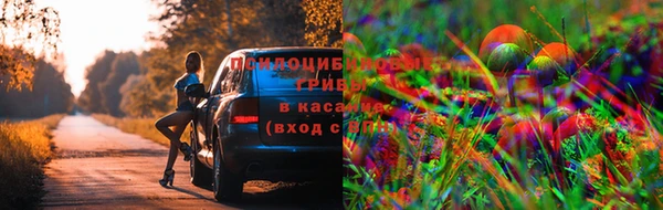 ГАЛЛЮЦИНОГЕННЫЕ ГРИБЫ Алзамай