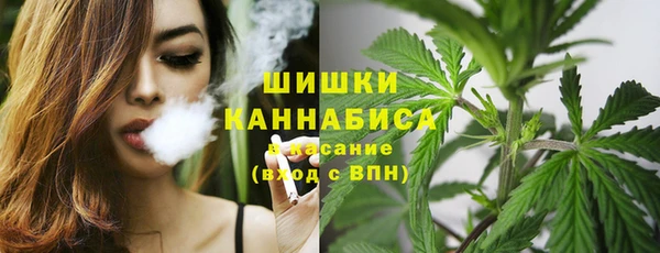 ГАЛЛЮЦИНОГЕННЫЕ ГРИБЫ Алзамай