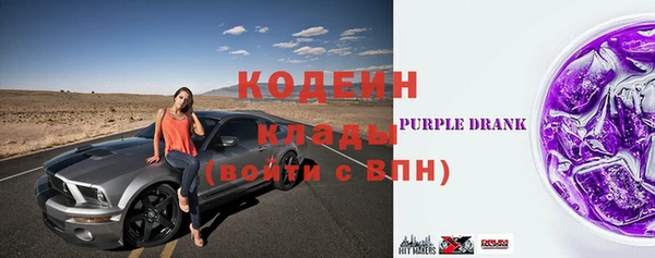 ГАЛЛЮЦИНОГЕННЫЕ ГРИБЫ Алзамай
