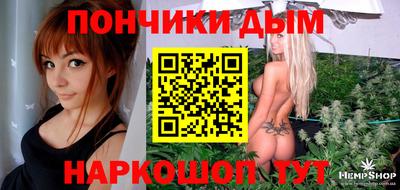 кокс Можга