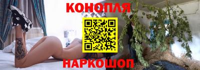 сатива Моздок