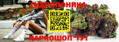 кокс Можга