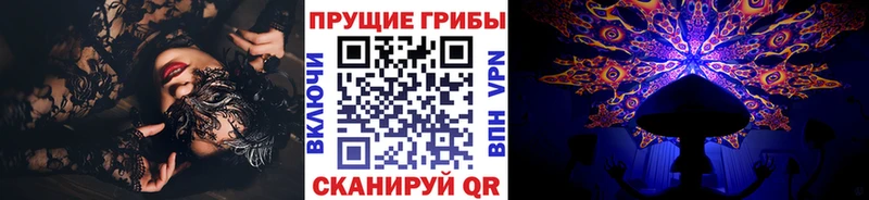 цены наркотик  Тайшет  Псилоцибиновые грибы ЛСД 