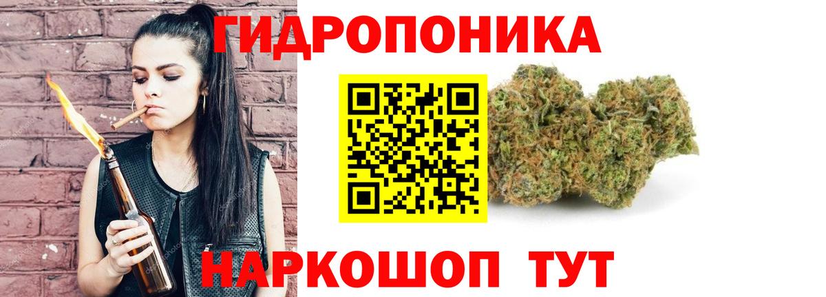 Бошки марихуана Bruce Banner Тайшет